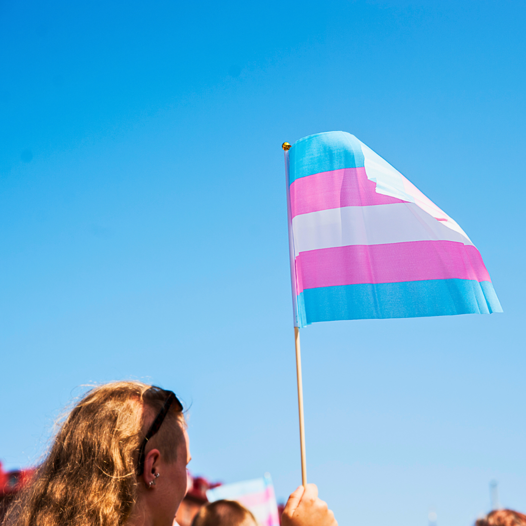 Foto från transdemo 2019. En person håller upp flaggan för transpersoner mot en blå himmel.