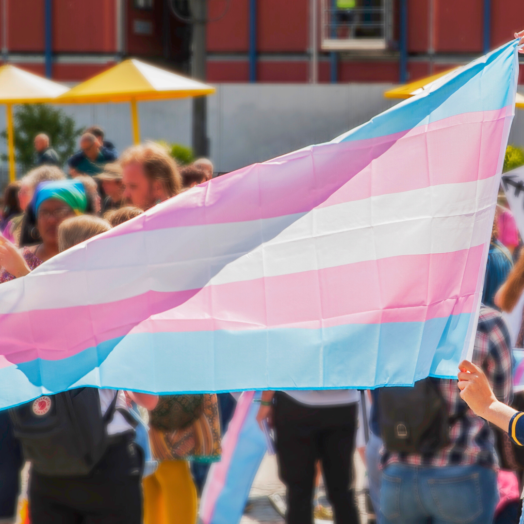 Foto från transdemo 2019. En person i en sjömanskjorta håller upp flaggan för transpersoner.