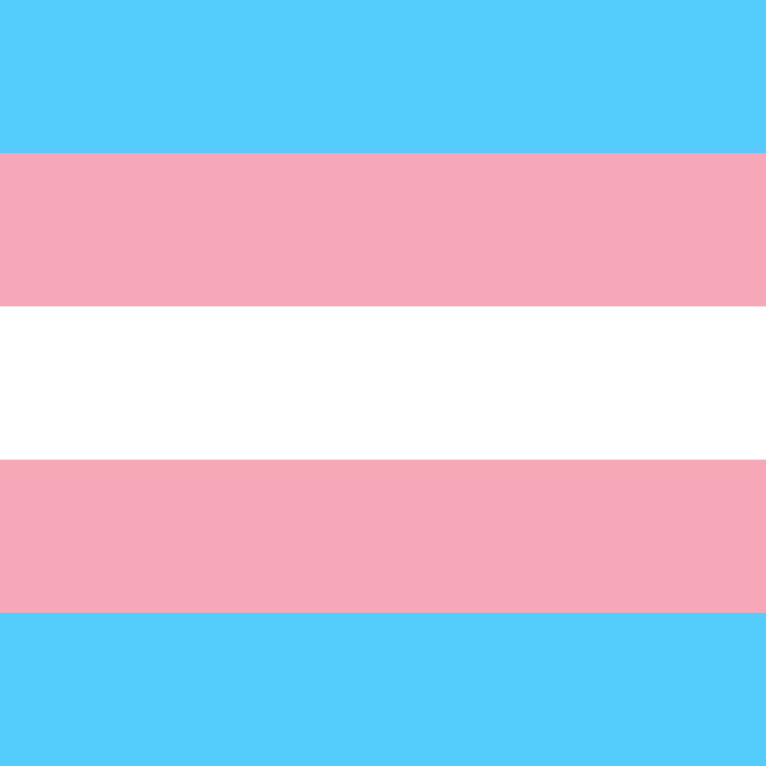 Flaggan för transpersoner.